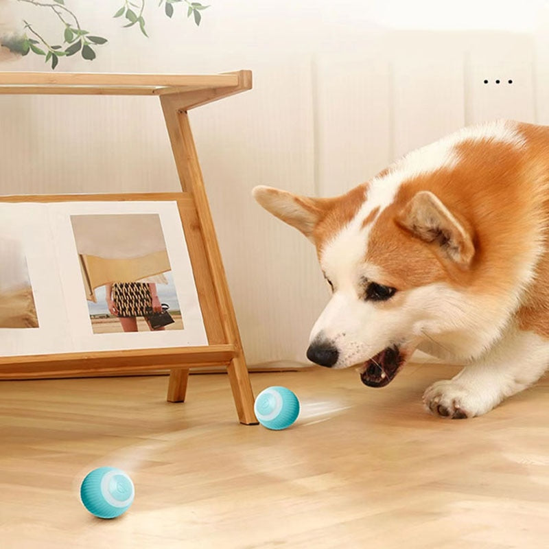 Bola Inteligente para Pet - Smart Ball™